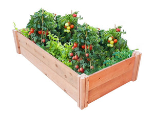 Garden Raised Beds