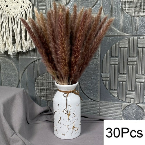 100pcs Fluffy Pampas Dried Flowers - jenshomeandgardendecor