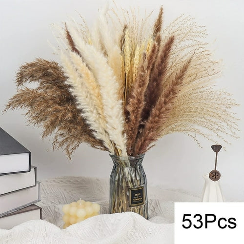 100pcs Fluffy Pampas Dried Flowers - jenshomeandgardendecor