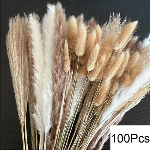 100pcs Fluffy Pampas Dried Flowers - jenshomeandgardendecor