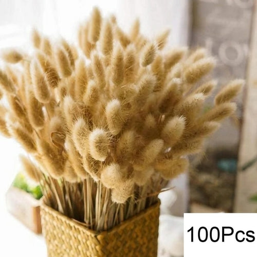 100pcs Fluffy Pampas Dried Flowers - jenshomeandgardendecor