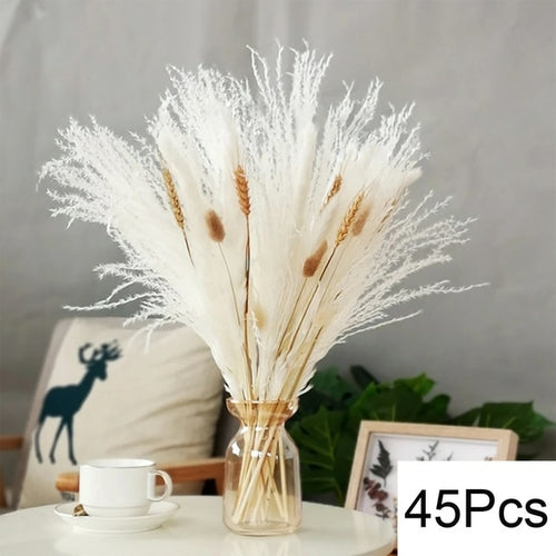 100pcs Fluffy Pampas Dried Flowers - jenshomeandgardendecor