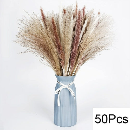 100pcs Fluffy Pampas Dried Flowers - jenshomeandgardendecor