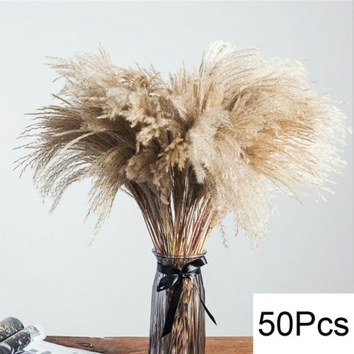 100pcs Fluffy Pampas Dried Flowers - jenshomeandgardendecor