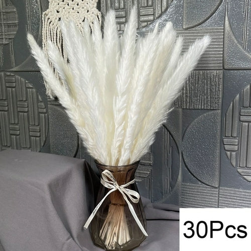 100pcs Fluffy Pampas Dried Flowers - jenshomeandgardendecor