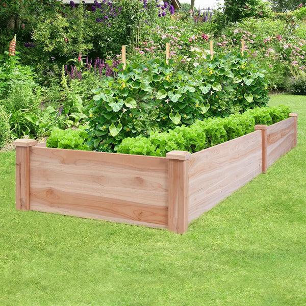 Wooden Vegetable Raised Garden Bed - jenshomeandgardendecor