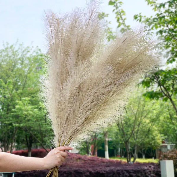 120cm Artificial Pampas Grass - jenshomeandgardendecor