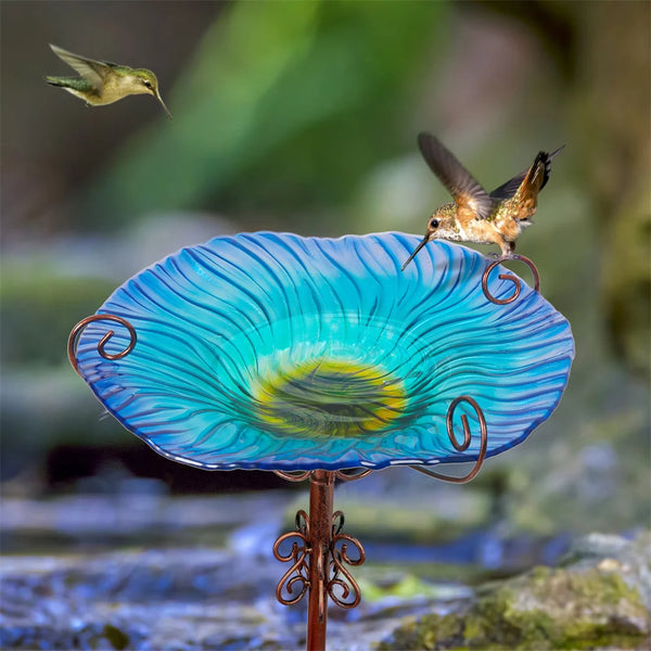 Large Outdoor Glass Bird Bath Garden Feeding Bowls