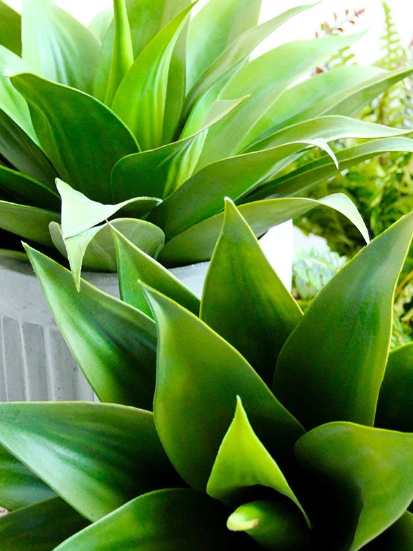 Artificial Agave Plants UV Resistant