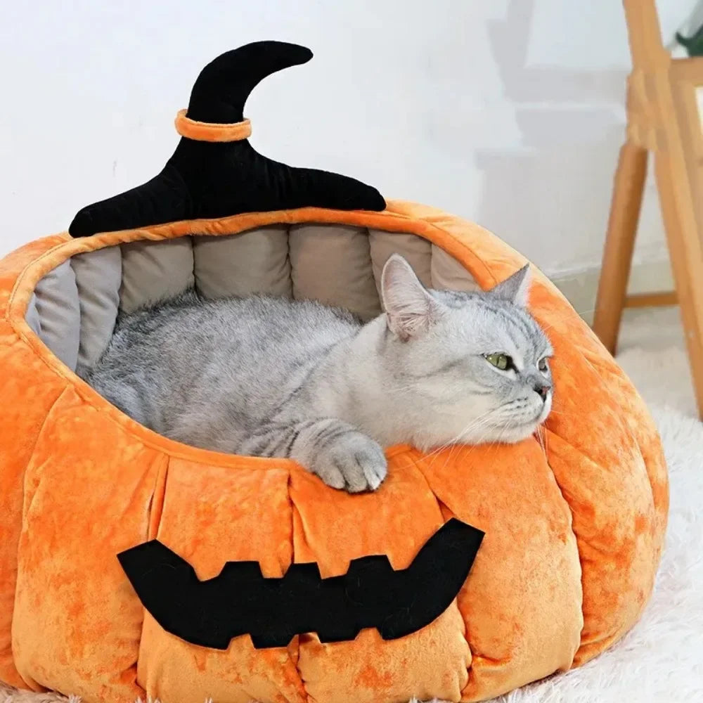 Halloween Pumpkin Cat Bed