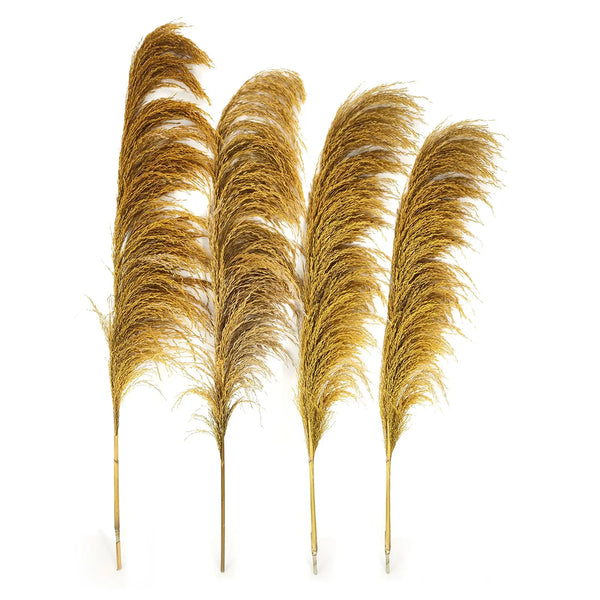 Large Dried Flowers Pampas Grass - jenshomeandgardendecor