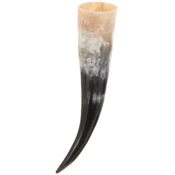 Horn Wall Art Decor