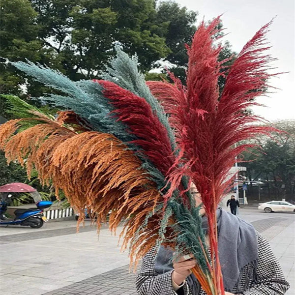 Large Dried Flowers Pampas Grass - jenshomeandgardendecor