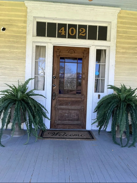 47” Boston Fern Large Artificial Bush Plant w/59 Leaves