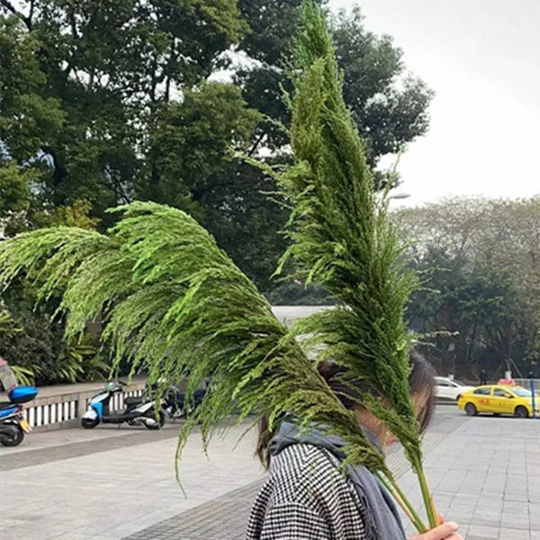 Large Dried Flowers Pampas Grass - jenshomeandgardendecor