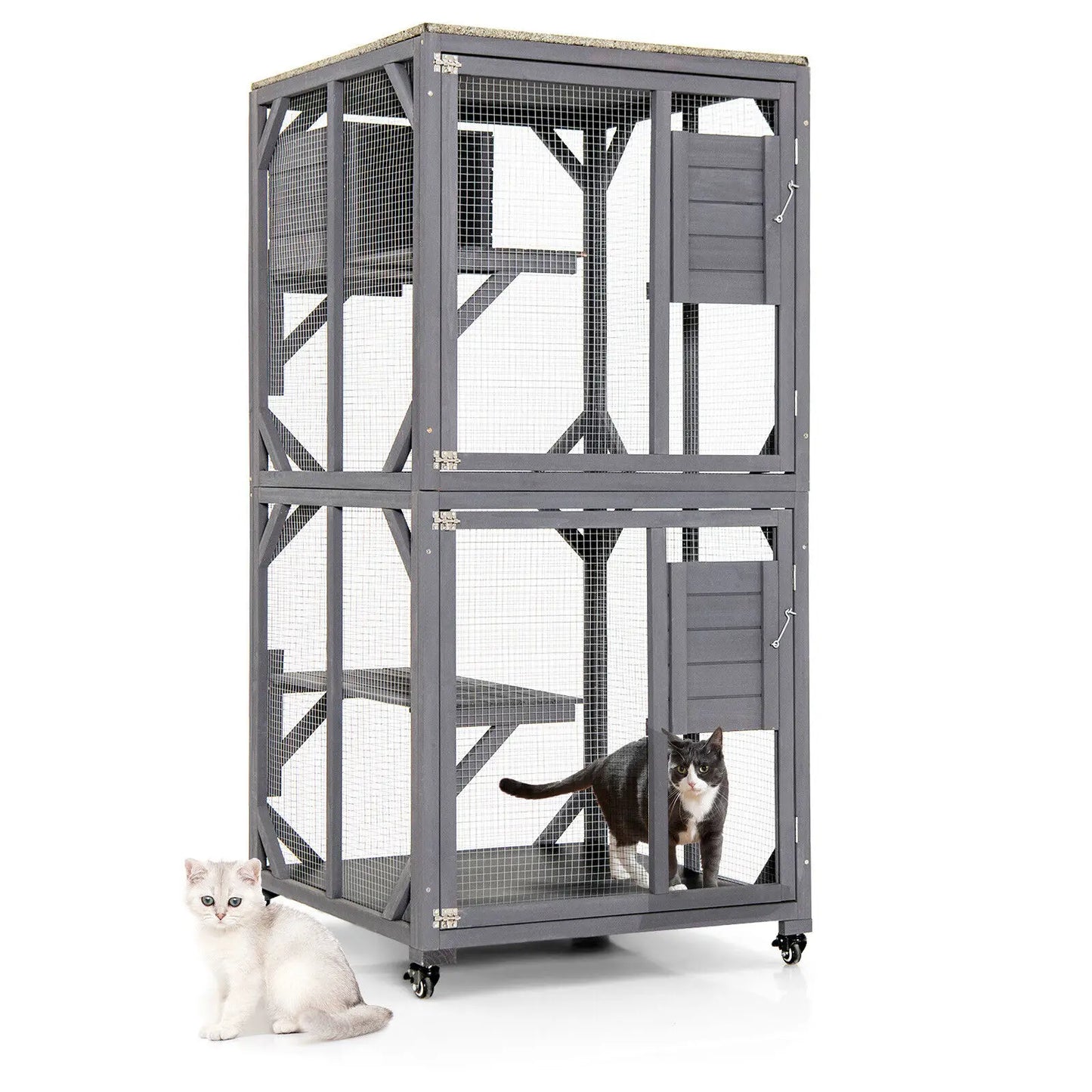 Outdoor Cat House Enclosures on Wheels - jenshomeandgardendecor