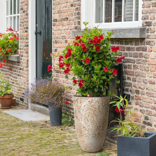 Tall Round Planters Set of 2-14" Dia x 21" H Stone Finish