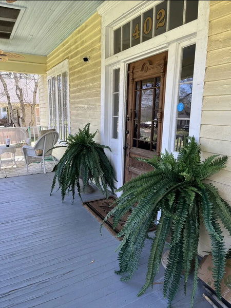 47” Boston Fern Large Artificial Bush Plant w/59 Leaves