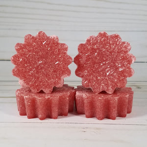 Autumn Apple Scented Wax Melt Tarts - jenshomeandgardendecor