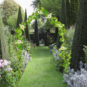 Wide Steel Garden Arch - jenshomeandgardendecor