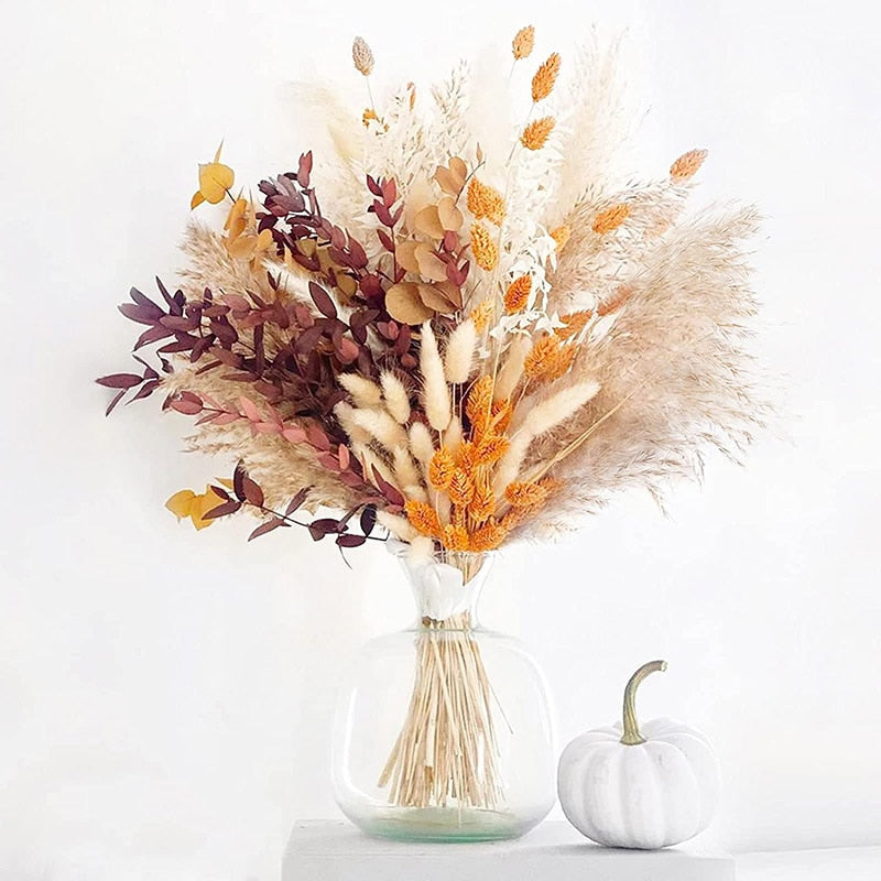 60-109PCS Natural Dried Pampas Grass Bouquet - jenshomeandgardendecor