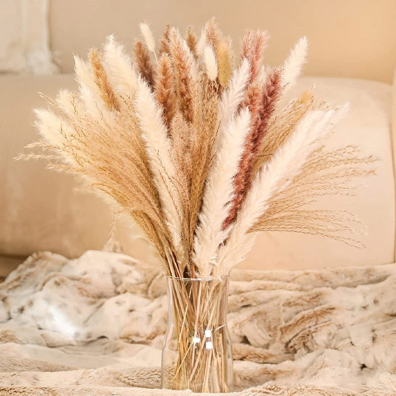 60-109PCS Natural Dried Pampas Grass Bouquet - jenshomeandgardendecor