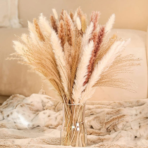 Natural Dried Pampa Grass Bouquet - jenshomeandgardendecor