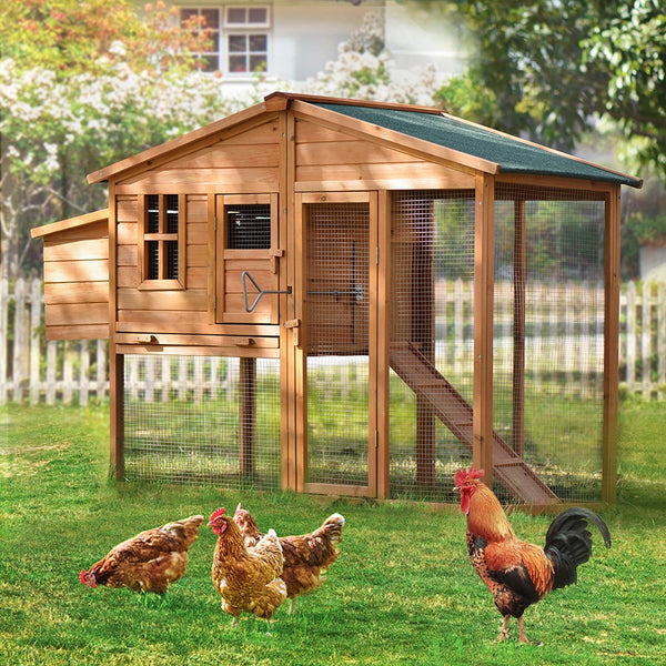 Large Wooden Chicken Coop - jenshomeandgardendecor