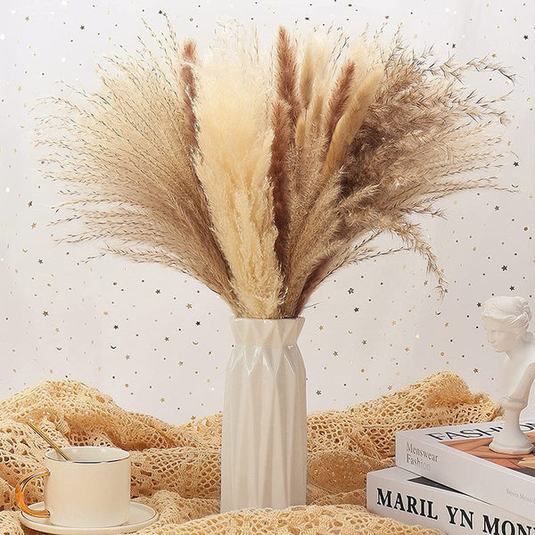 Natural Dried Pampa Grass Bouquet - jenshomeandgardendecor