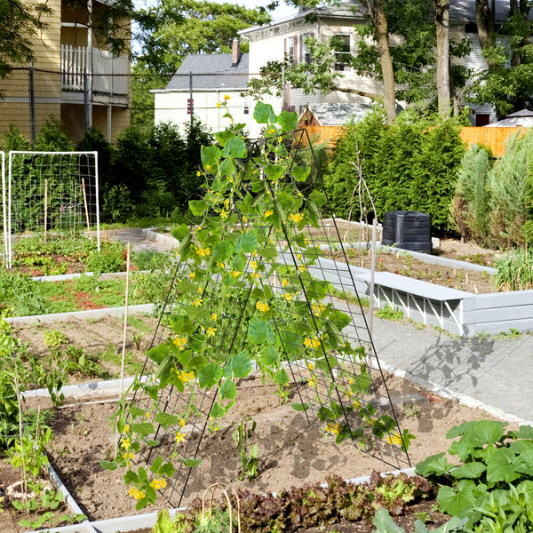 2PCS Foldable Cucumber Trellis - jenshomeandgardendecor