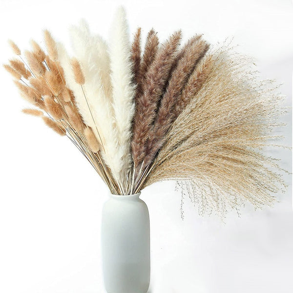 Natural Dried Pampa Grass Bouquet - jenshomeandgardendecor