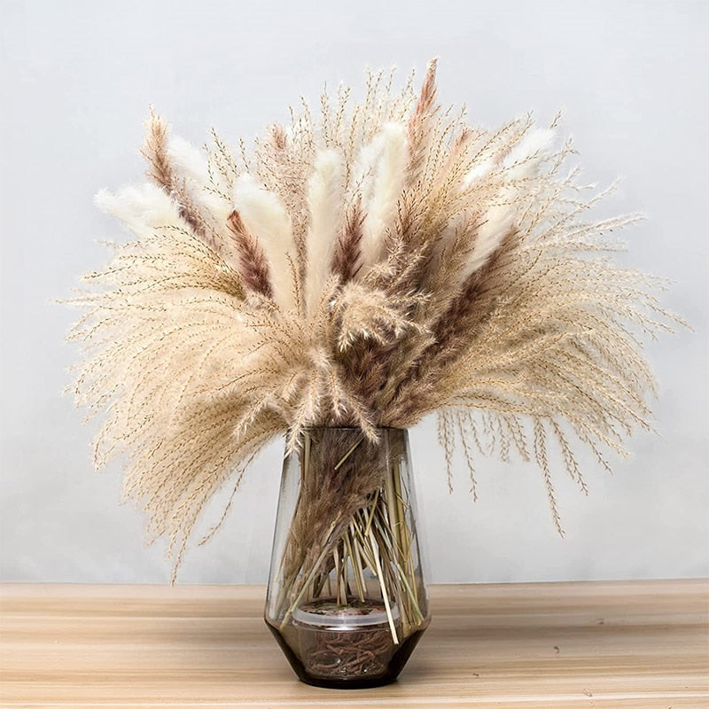 60-109PCS Natural Dried Pampas Grass Bouquet - jenshomeandgardendecor