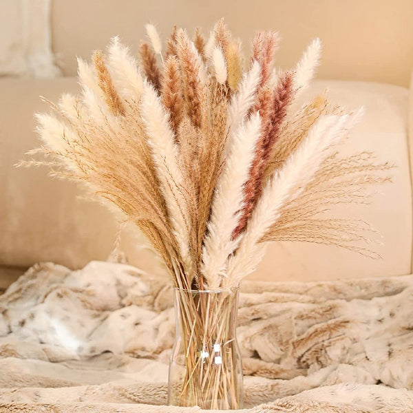 Natural Dried Pampa Grass Bouquet - jenshomeandgardendecor