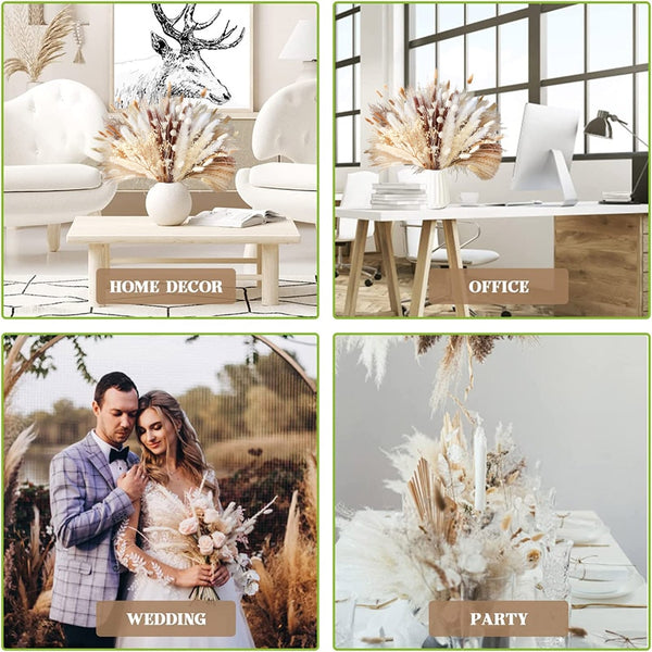 60-109PCS Natural Dried Pampas Grass Bouquet - jenshomeandgardendecor