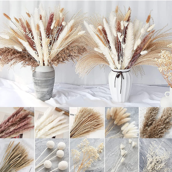 60-109PCS Natural Dried Pampas Grass Bouquet - jenshomeandgardendecor